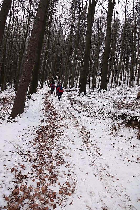 Silvestrovská vycházka