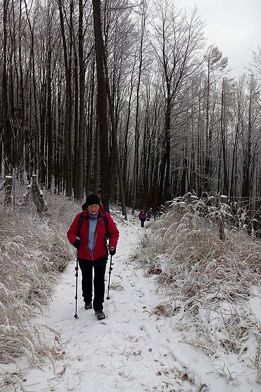 Silvestrovská vycházka