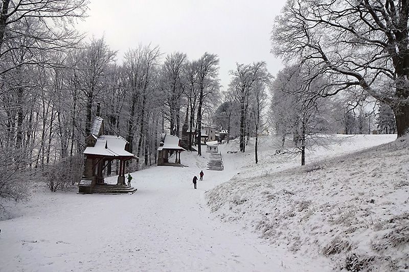 Silvestrovská vycházka