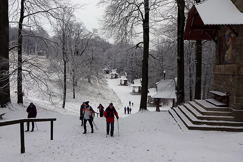 Silvestrovská vycházka