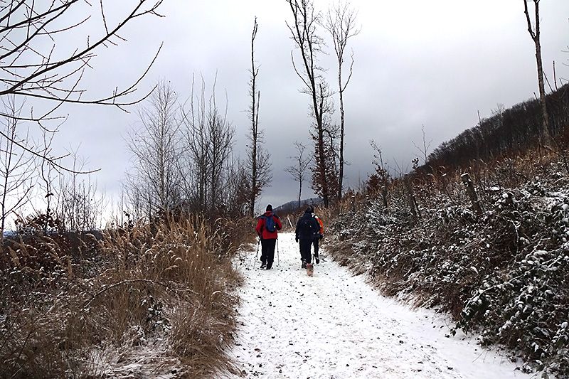 Silvestrovská vycházka