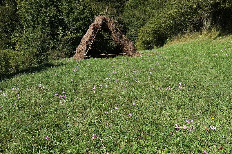 Vysoké Tatry z Vrbova