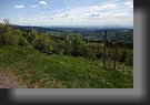 Foto 01 